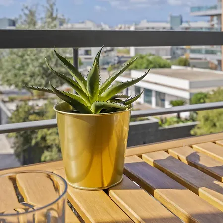 Steps To Marina, Beach, Town